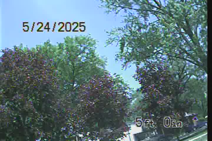 Frame